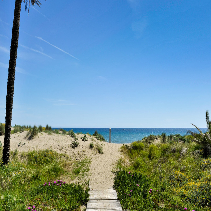 Real State Palm Beach Marbella